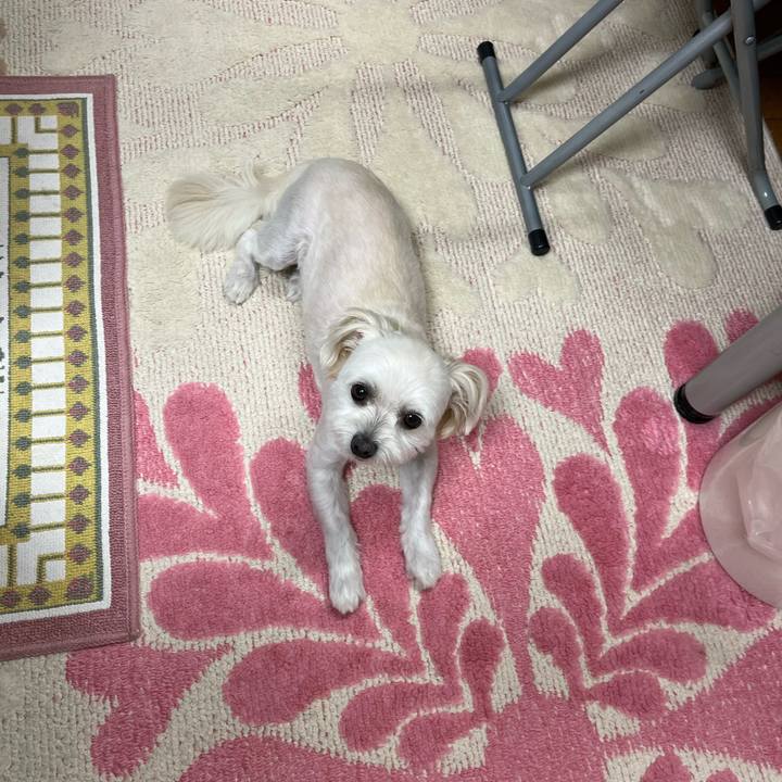 0bee0ae2 4bc7 4dec a132 c7624d1fe9f7 1662634405946