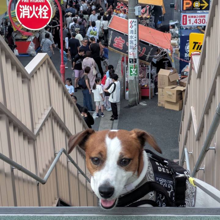 0bee353a 0f08 46de a477 acd95d51c790 1759065040842