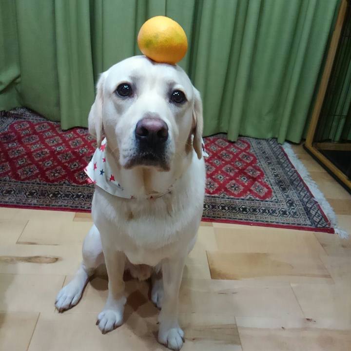 0bee43cb 4a95 4c84 b649 bf3b927918d2 1508669212414