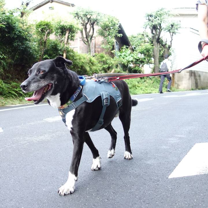 0bee58c4 9dfc 492f 871b 072c07393228 1720828933720