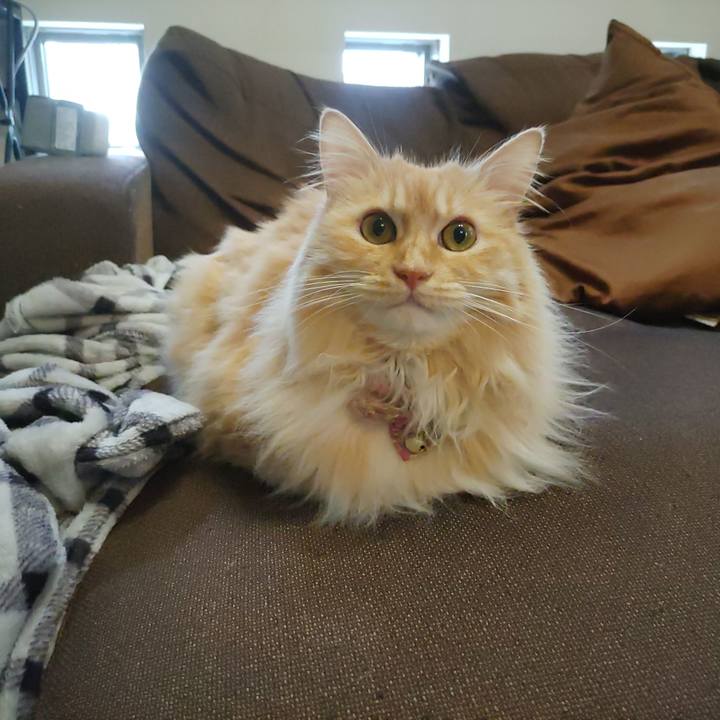 0bee6529 2ea5 49f3 88ea 8321fa7a8756 1684589099034