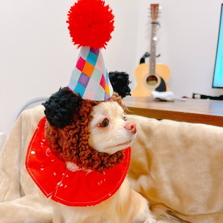 0bee6c0d 61ab 480f 9046 74f095b84d74 1649510534267