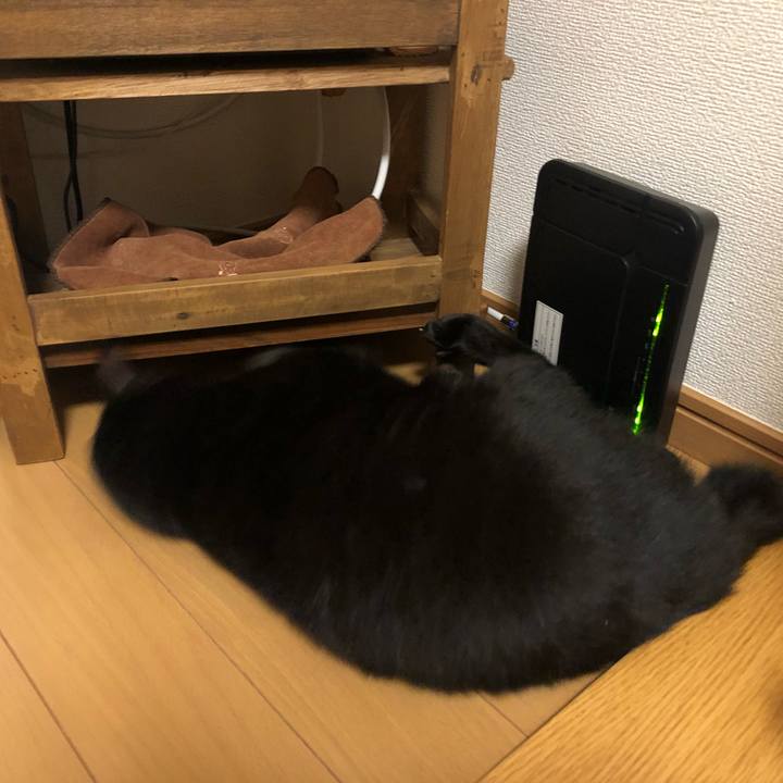 0beebacc 6d1b 4d4d a3b5 e9fc7c1f0193 1560997007373