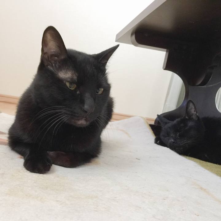 0beed1c6 1d1e 4c93 abf0 44d8f3789dae 1553326822585