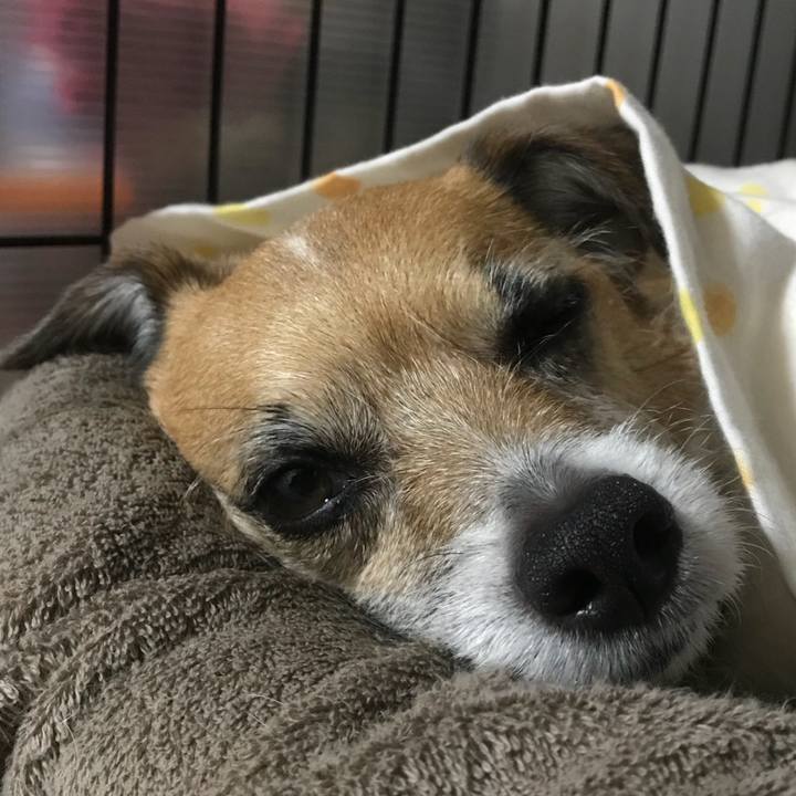 0beedf8e 2f56 4394 be1f 2435b8e2a39b 1525609679487