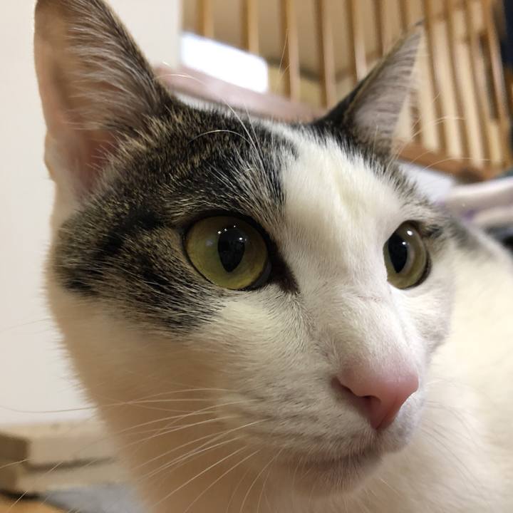 0beefa18 fbd0 475f b429 b7c15c3e5247 1617408667543