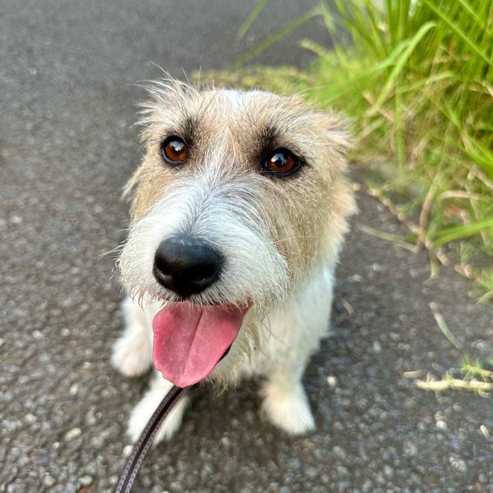 0bef3f7f 93fd 4d7b bd30 d8e980305c4e 1723080855757