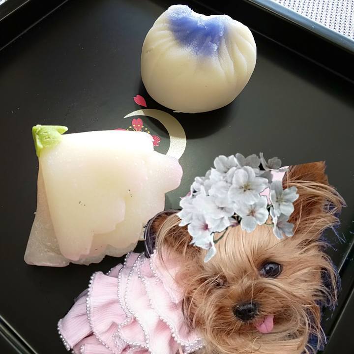 0bef603c e77d 458c afa6 18639aac8308 1554002779494