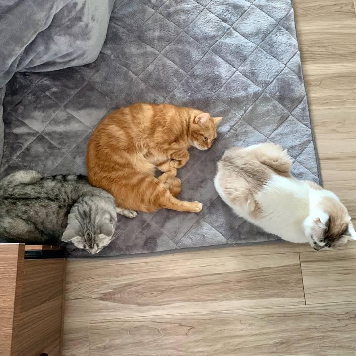 0bef6467 4275 44a9 9881 a591a8ccc7a7 1676269918223