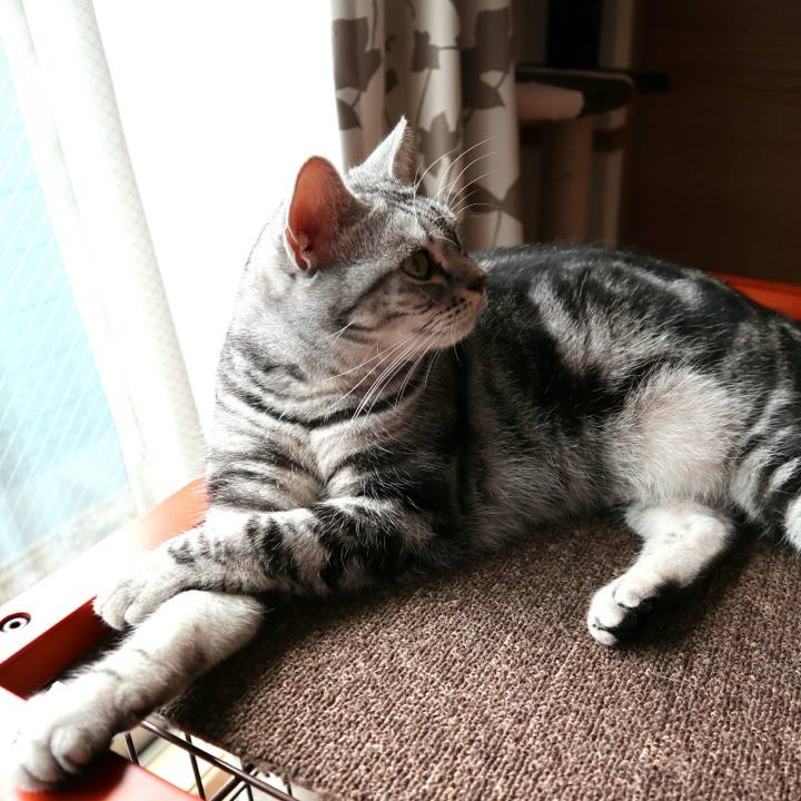 0bef7eca 8bab 43c5 be90 9ba5c22aebae 1597406961079