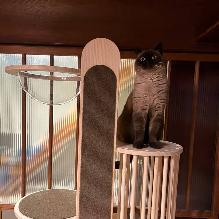 0befa8bb debb 4bd0 85bc 400968d657a7 1700979397072