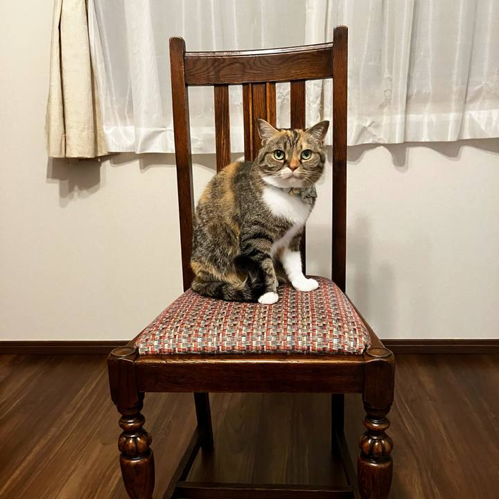 0befbf2d 534f 478d a2ab 8b362ac77400 1775530626688