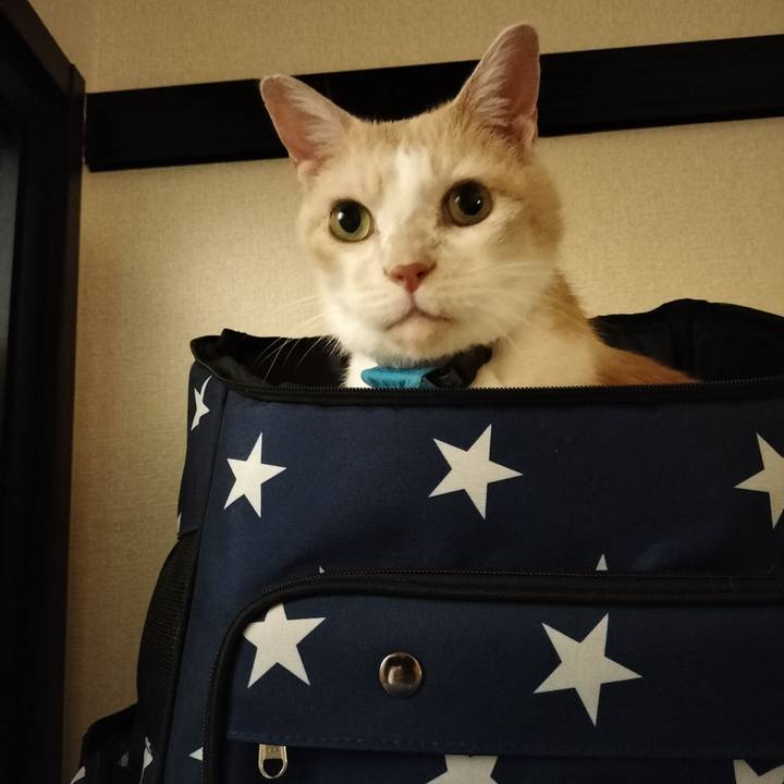 0beff80f 25b2 4bb7 8d70 8b85dd98d4f1 1663330533143