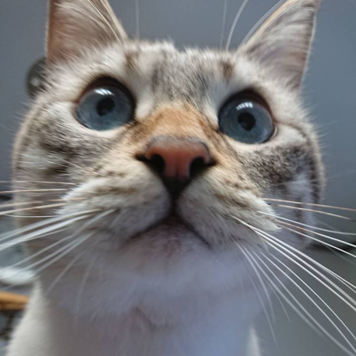 0bf035fb f976 4ef8 bf48 f676c0755ce0 1541545387184