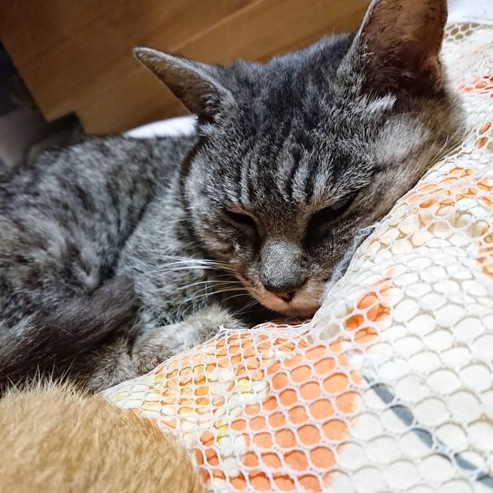 0bf06be1 af2c 4107 a503 33ce848eb9e0 1603715420319