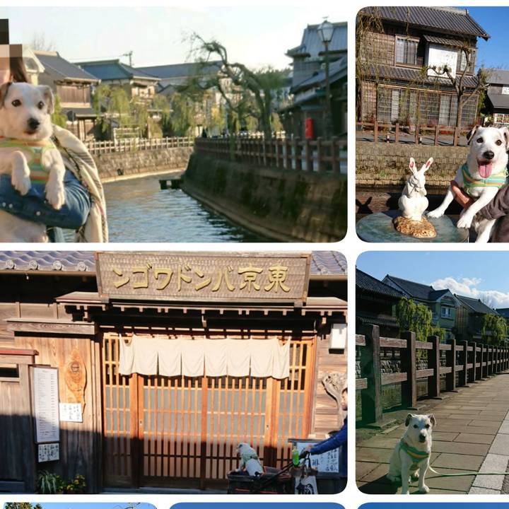 0bf0a6f5 69a2 4859 9c5a 214c96a13a7c 1575846560257