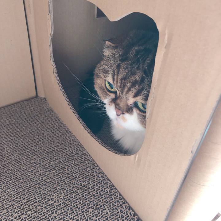 0bf0f189 70ae 4da8 ac3e 0d84433f5381 1591156496687