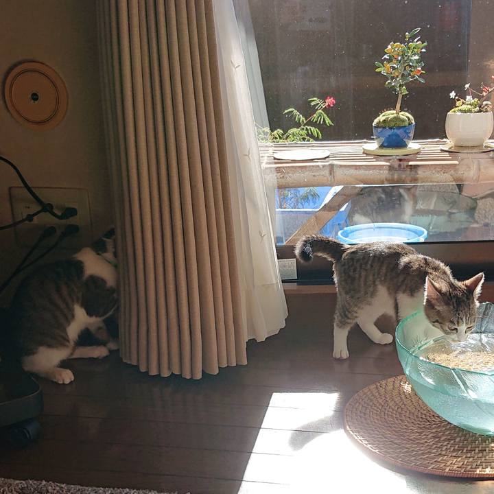 0bf11686 6145 447c afe1 0246454eeb5b 1546320707460