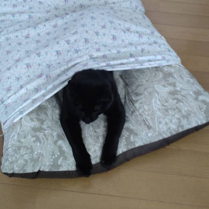 0bf1469e 63a6 42c9 8662 fb905e72a534 1651703869218