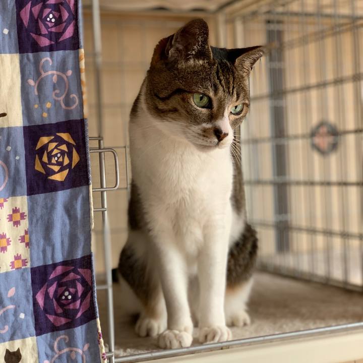 0bf16c3f 7399 4fb6 bb7c 6e7a63ed02cd 1588035666370