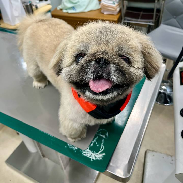 0bf193e8 c08c 4fb8 bf3a 2a4ec0d2029c 1754701422841