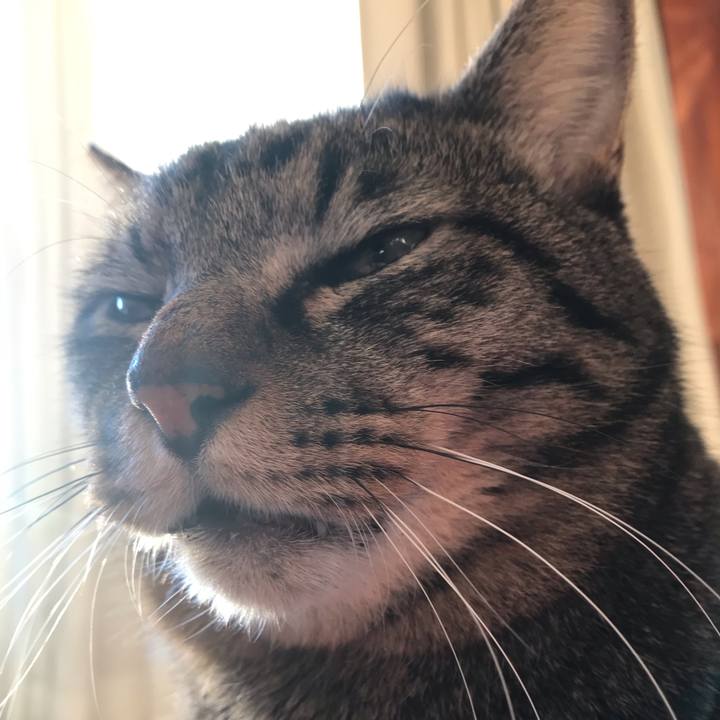 0bf19529 ed04 4da5 bf28 755919b56fb0 1578177269507