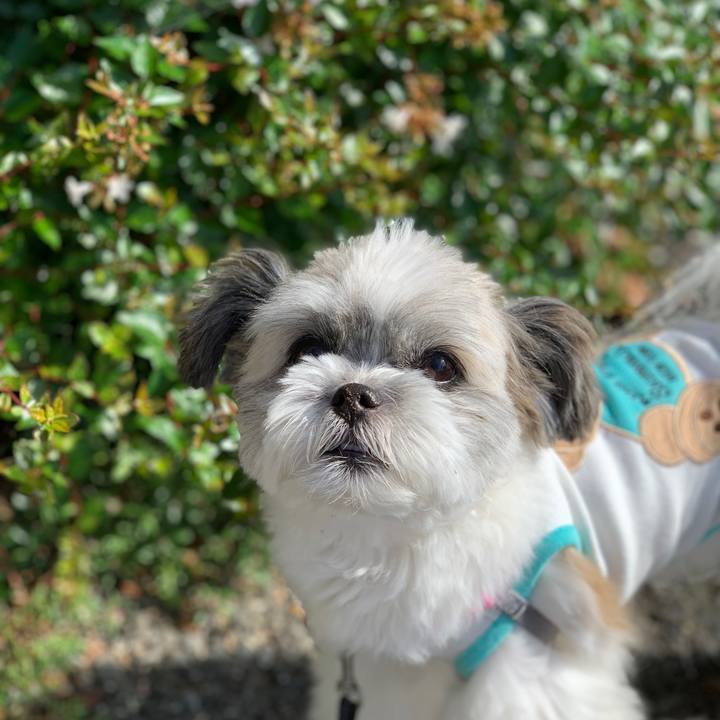 0bf1cbfd 3187 4d4a 8c7c 8a98fa517435 1568938453758