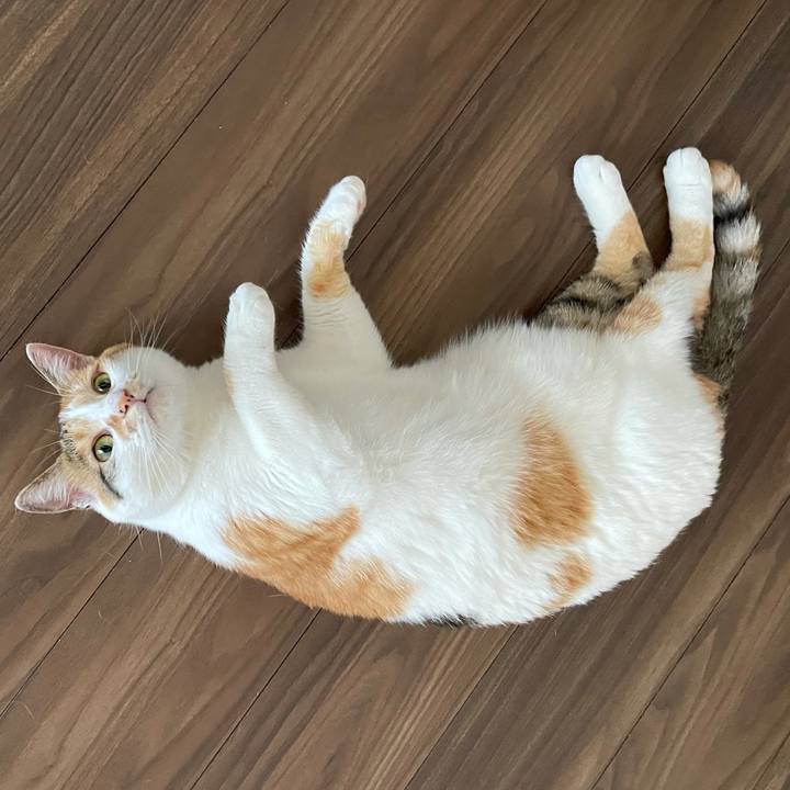 0bf1e019 0b29 4ee4 8c7f c1a418961bbb 1623325363946