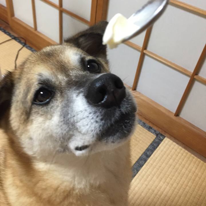 0bf1f7c5 d692 4264 8fa3 60d6ea7823d0 1563965568556