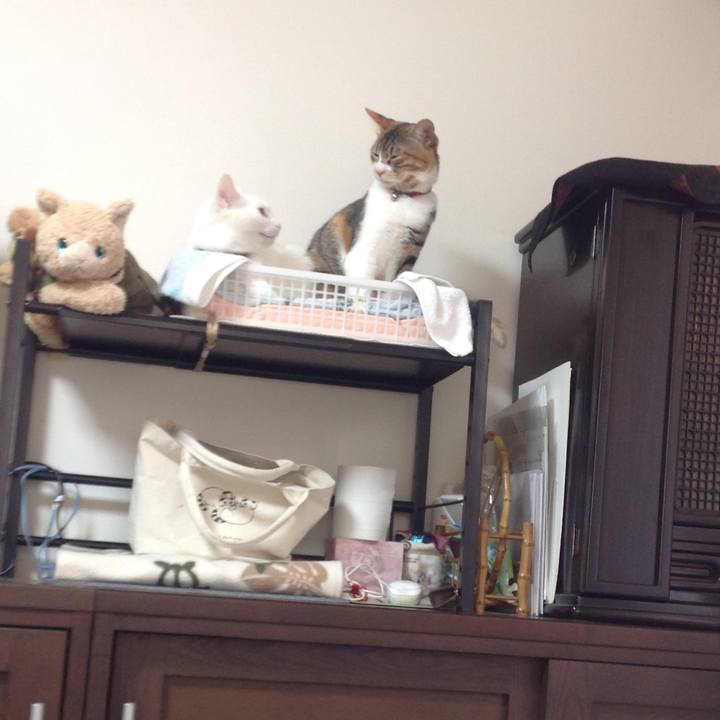 0bf20b49 4145 4371 8c17 20814bb00a4e 1643266604008