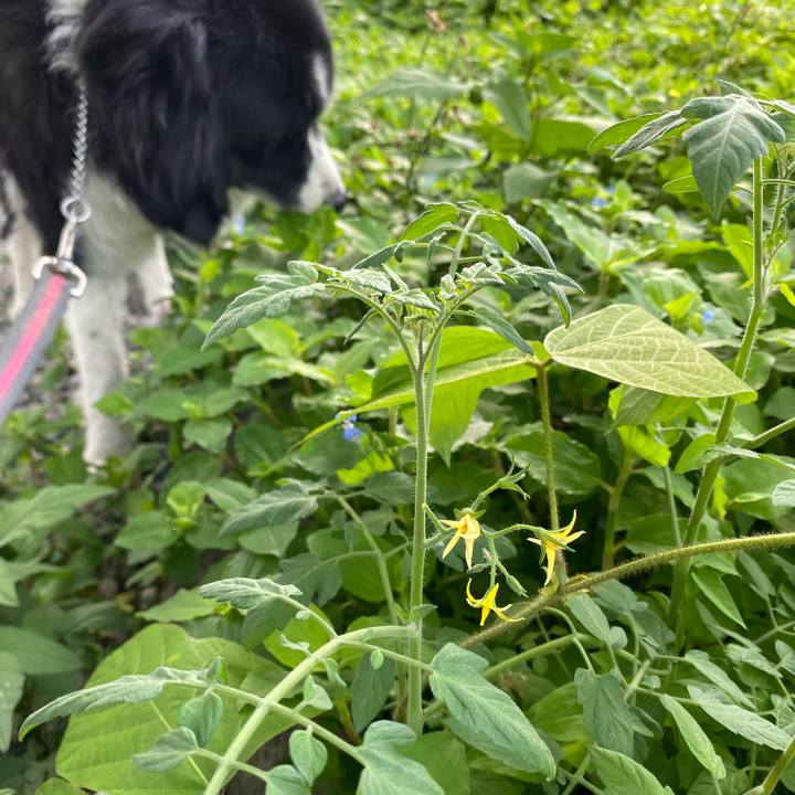 0bf22200 30d8 4639 9388 b6ef5c4d1001 1626565817672