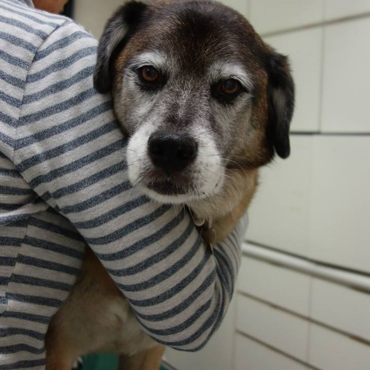 0bf26321 8522 459e b5aa 3f9e62729535 1673398670940