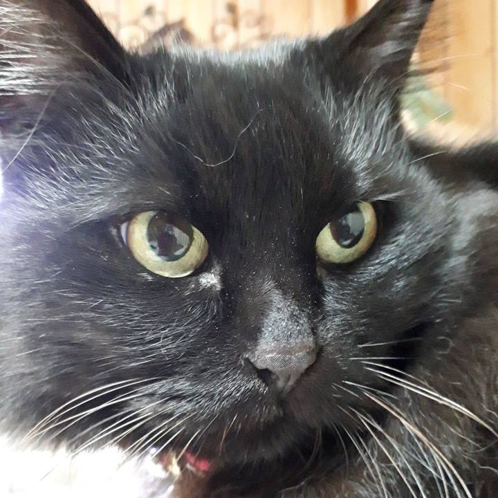 0bf2aff1 0de3 4ec3 8125 5edecd6fe167 1518898179633