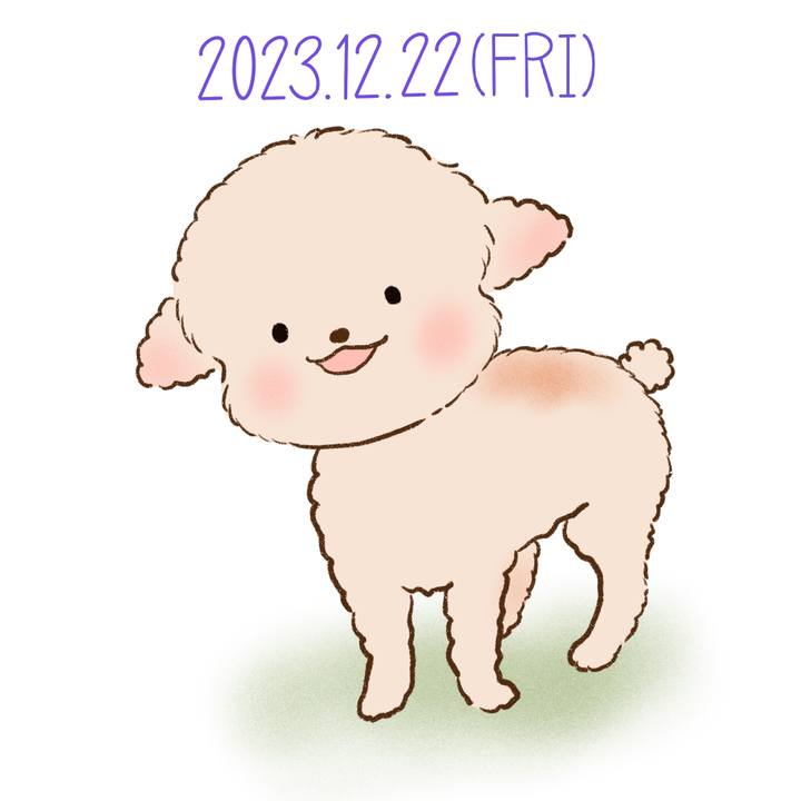 0bf2f606 7ade 4580 a747 19bcb9f06b4d 1703248340268