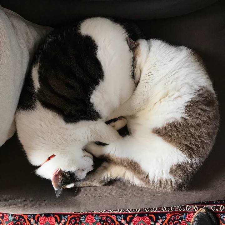 0bf2f953 1811 494a 832e 28ff1239e11d 1509456236307