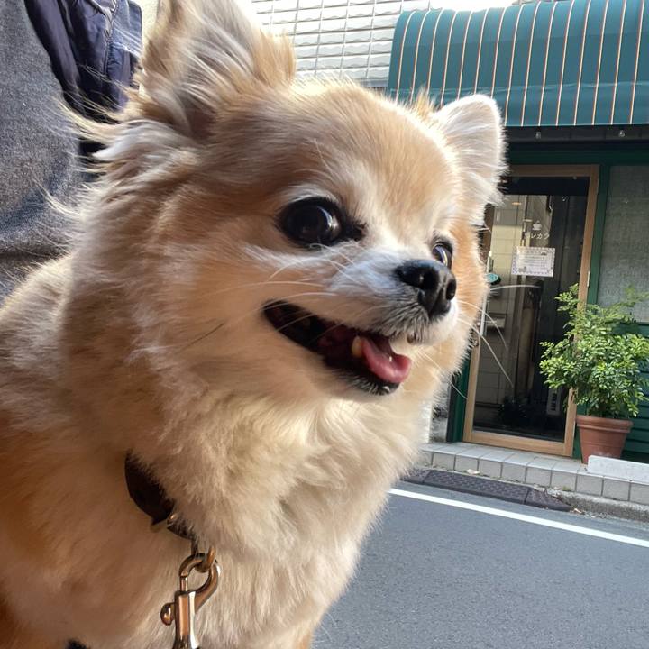 0bf30465 22f7 46d7 a190 55bf19bce245 1772259843438