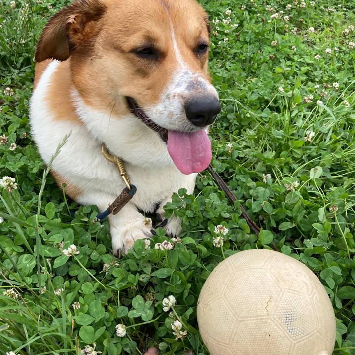 0bf36c14 c49c 4fe8 9741 7734bebd8e58 1655273892843