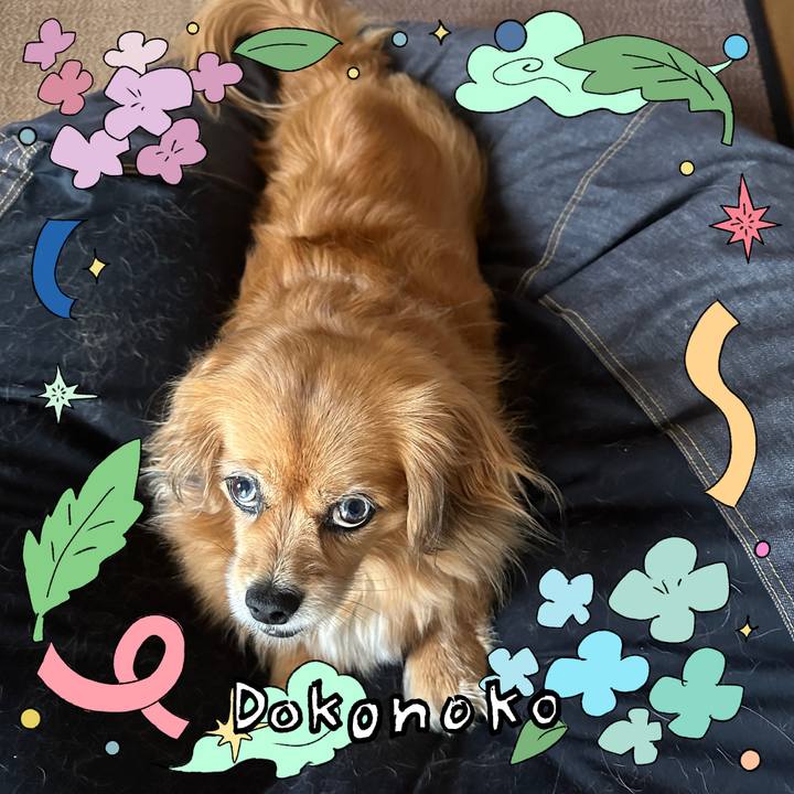 0bf387b6 9efd 426b b64f 2fd7d78052fd 1717620011551