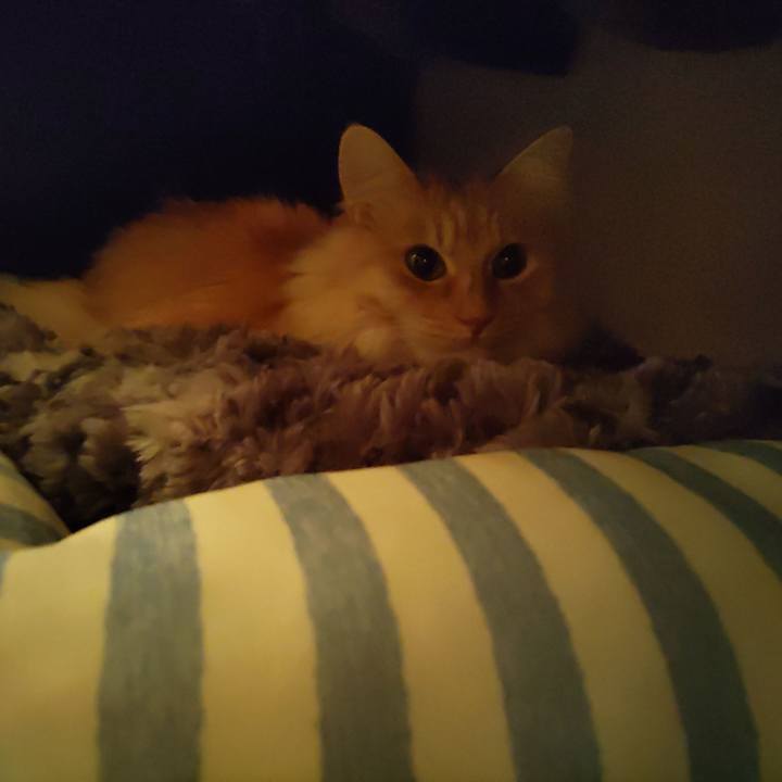 0bf393cd 79b2 448f bfe8 19371e2dce55 1705156022715