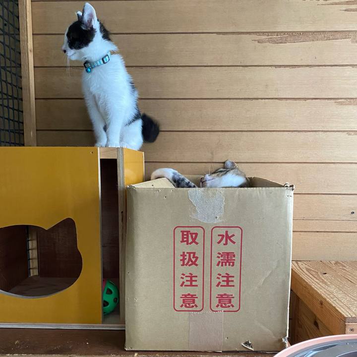 0bf39756 2fdc 408d 946d 27718d052f9c 1654909021534