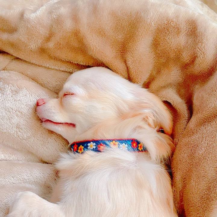 0bf3988b 11f7 4c90 a69e 0b91f966cd15 1632885137427