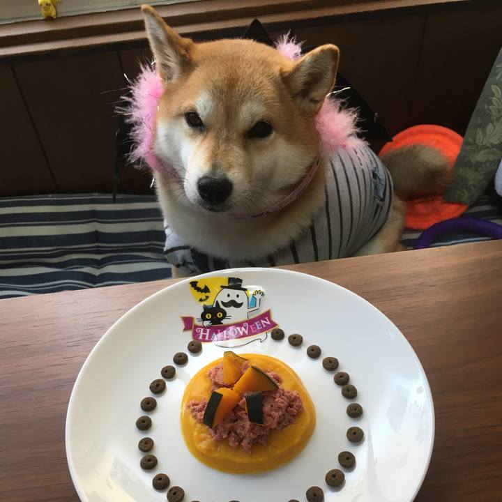 0bf3c924 3def 49a6 ae22 58891fa6904f 1540961330566