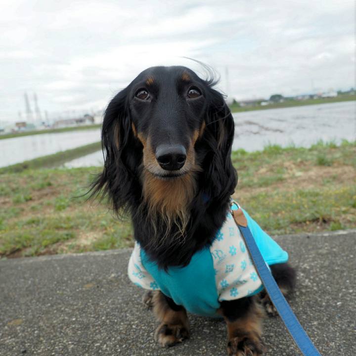 0bf3cfb2 0c23 4703 a0c6 4700a34f36a7 1559958264123