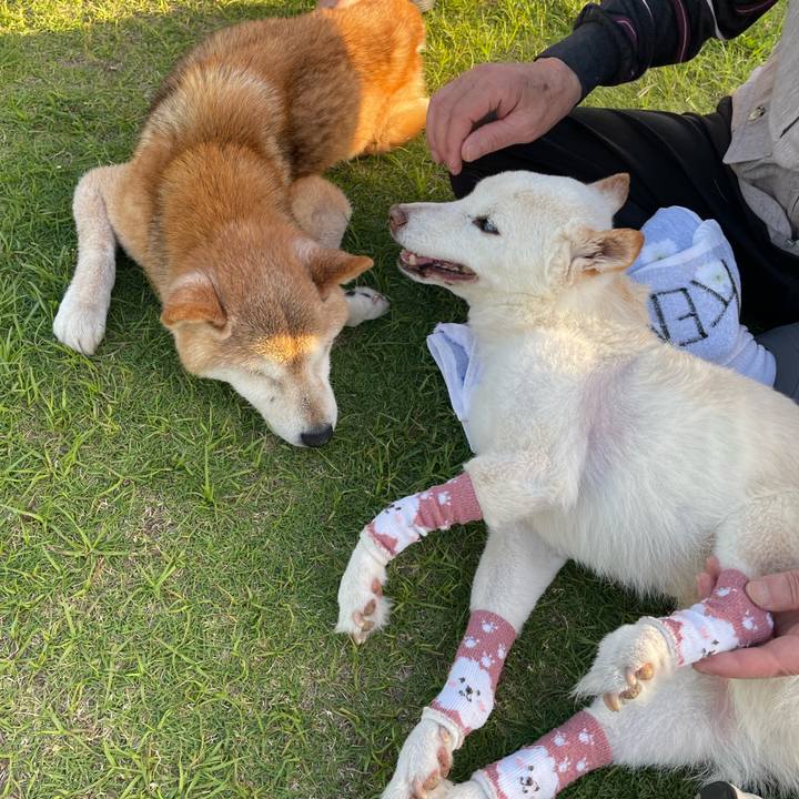 0bf3da6c 5188 4cc4 b447 9f96dc2f9013 1685068527521