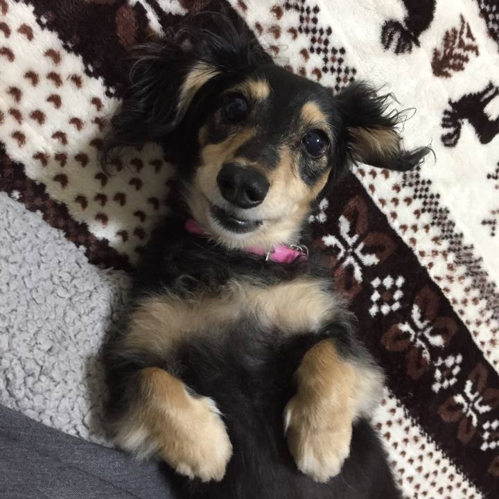 0bf4124d 174f 47a6 ada9 c04dbe763bf6 1544000022138