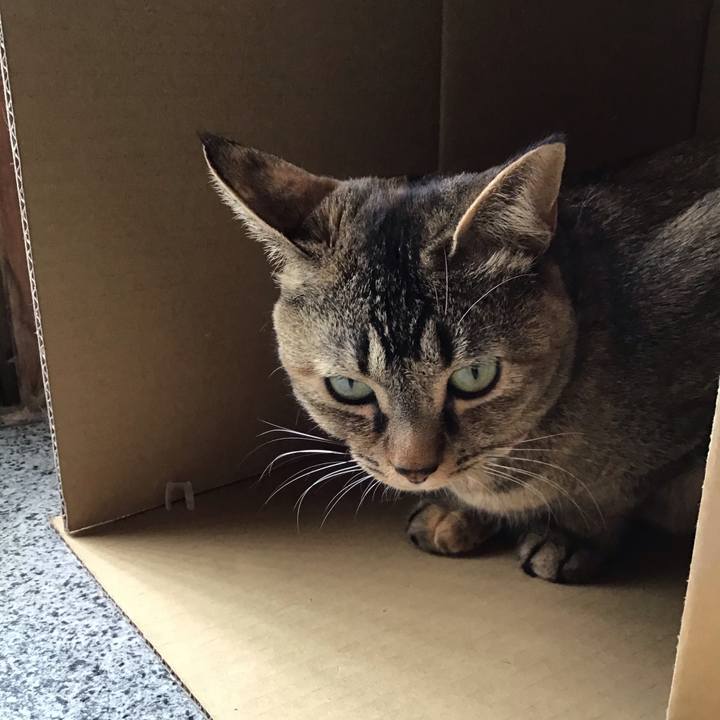 0bf41a13 2e2d 449b bd3b d9020fde525f 1616219712094