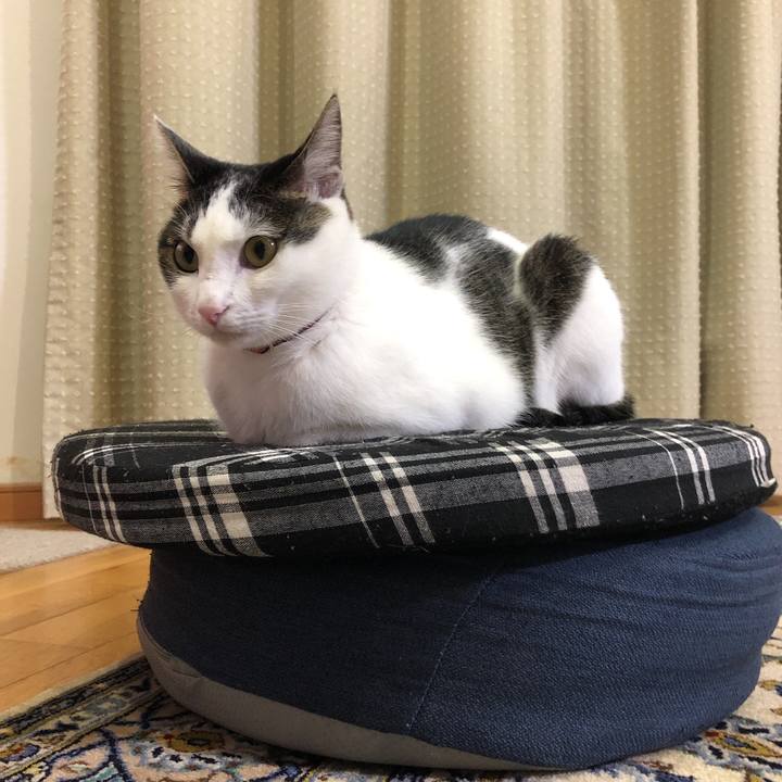 0bf4227f 8f68 48ed ab2e ac1cb0362def 1632227798669