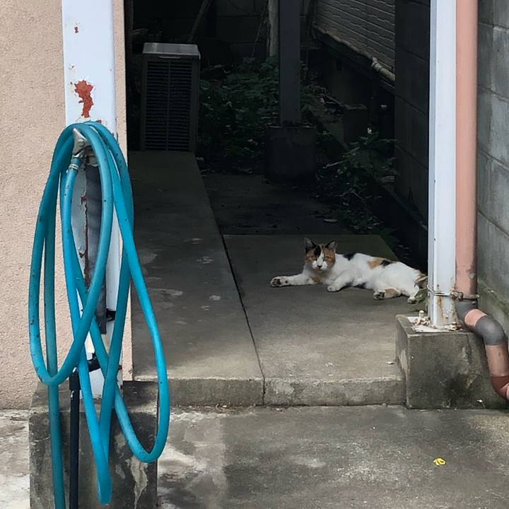 0bf43787 362d 4858 9ae2 8d03fdd3ef69 1565877875802