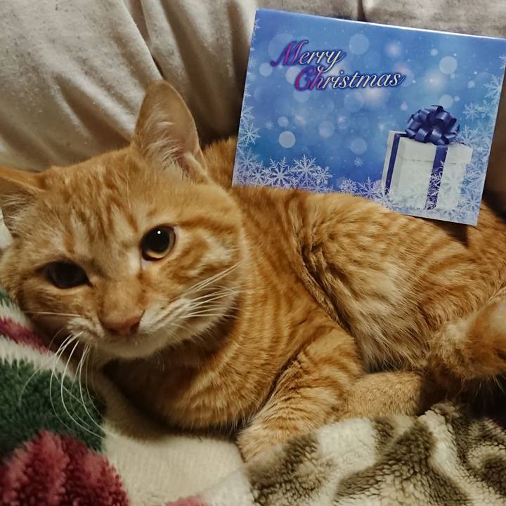 0bf45683 4d51 4892 8a05 f8c1822da7e4 1639744185897