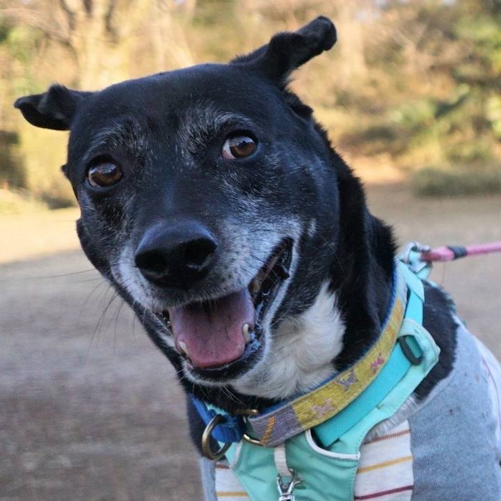 0bf489e5 985b 4fe1 8229 6ecce7993d74 1769821594601